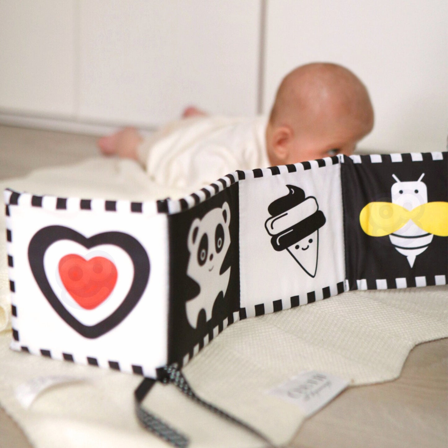 Pudełko Edukacyjne 6w1 | Montessori, Narzędzia, Tablica, Zegar i Zacisk Ławkowy | WOOPIE GREEN